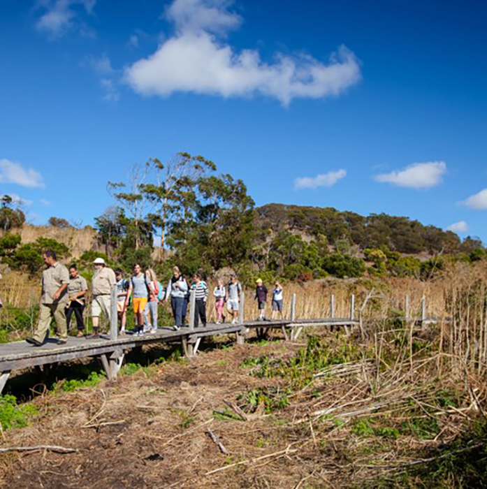 Indigenous Tower Hill Tour designed for Schools – 2 or 3hr interactive opportunity to observe, learn about the park, Aboriginal Australia, flora and fauna.